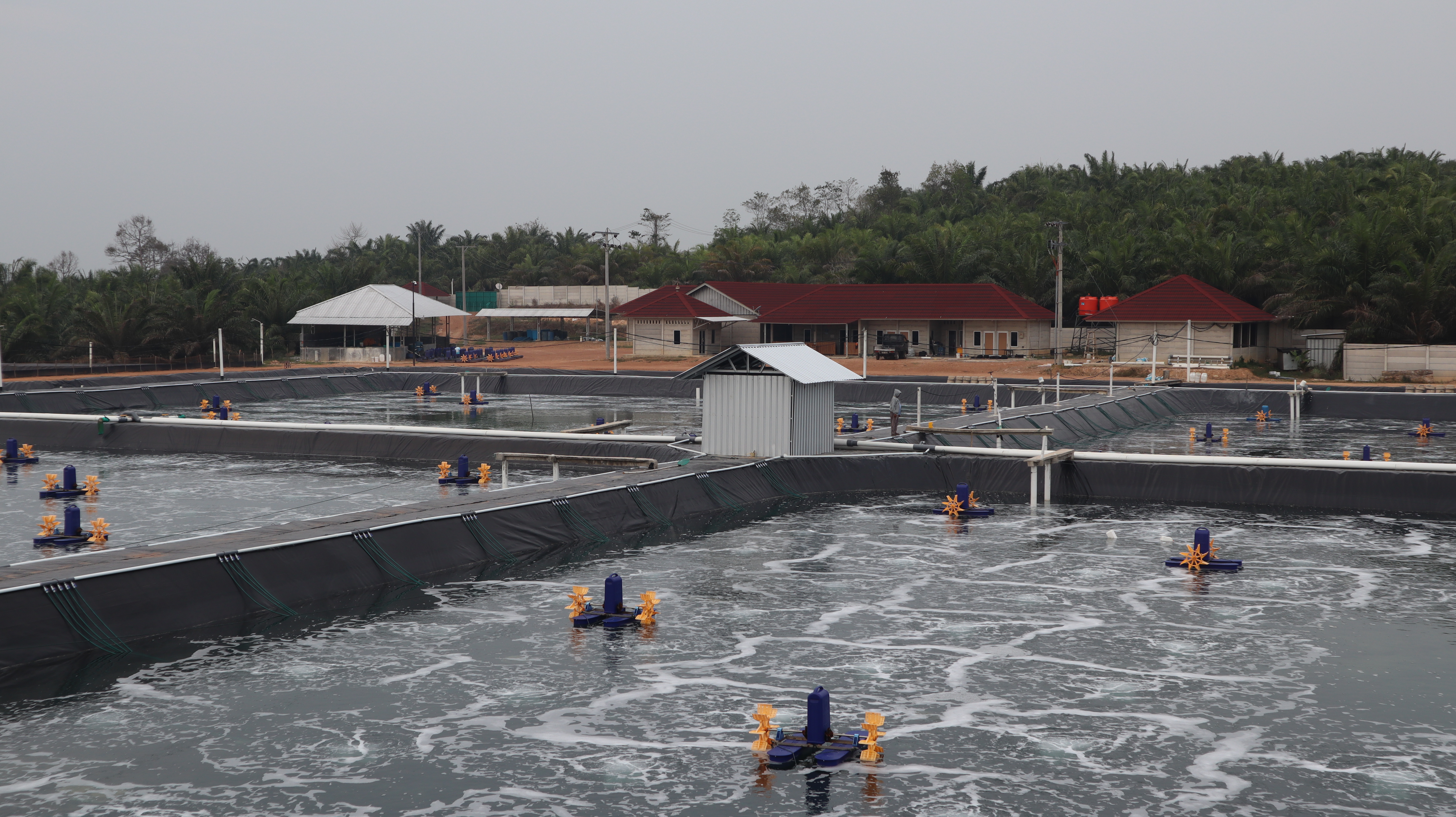 HDPE GEOMEMBRANE